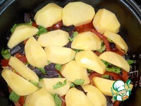 ���� � ������� �����������