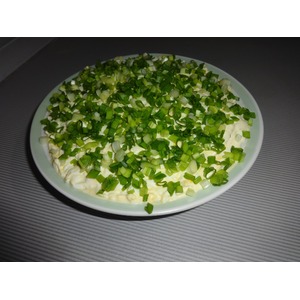 ����� "�������"