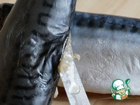 �������� "�����������" �����������