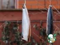 �������� "�����������" �����������