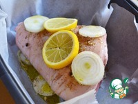 ������ � ������ �� ���� �����������