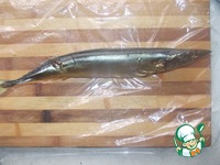 ������������ ����� � �������� ������ �����������