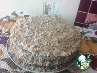 ���� �� ������ � �������� "������ �����" �����������