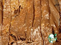 ���������-��������� ���� � ������� �����������