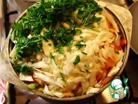 ����� �����������