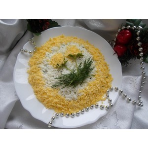 ����� "���������"