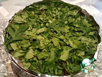 ����� "��������" �����������