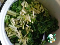 ������� "����������" �����������