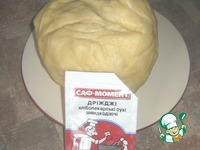 ������� ���� "�����" �����������