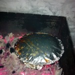 ����������� ���������