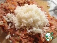 ������ ����� "�������� ��������" �����������