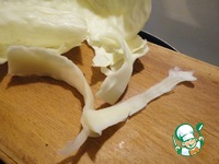 ������ ����� "�������� ��������" �����������