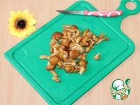 �������� � �������� ������� � �������� �����������