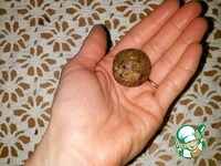 ������������ ������ �����������