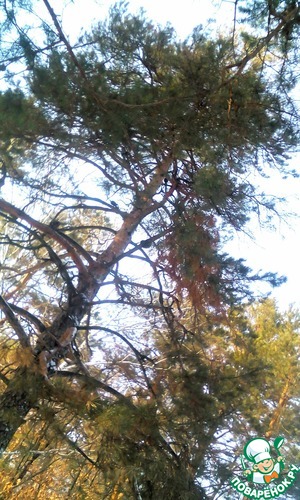 Новый год!!!