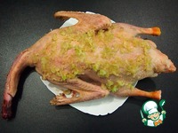 ���� � �������, ������� � ������� �����������