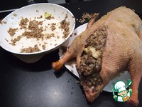 ���� � �������, ������� � ������� �����������