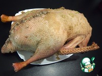 ���� � �������, ������� � ������� �����������