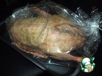 ���� � �������, ������� � ������� �����������