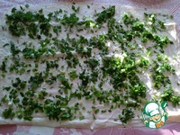 ������� ������� �� ������ �����������