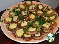 �����, ���������� ������� ������ � ����� �����������