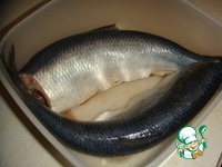 ������ ������� ������ �����������