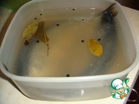 ������ ������� ������ �����������