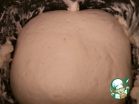 ����� ���������� �����������