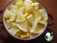 ���������� ��������-�������� ������ "�������" �����������