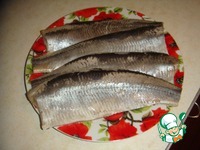 ������ � ��������� �������� �����������