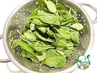 ���� ���������-���������� �����������