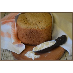 ������ ���� �������