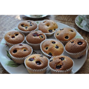 ������� ���������� �� ����������