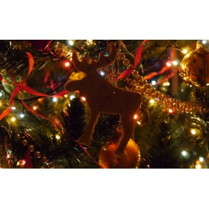 �������� ������� ��� ������