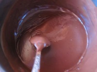 ����� ����� � ������� � ���������� ������ �����������