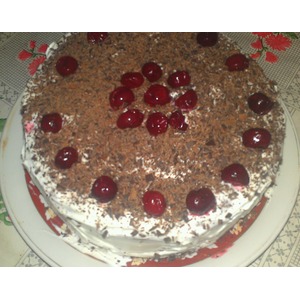 ���� "����������"