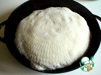 ��������-��������� ���� �����������