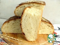 ��������-��������� ���� �����������