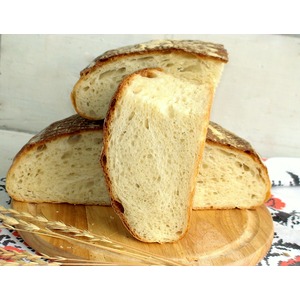 ��������-��������� ����