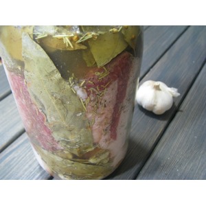 ���� �� ������� "���� �'�����"