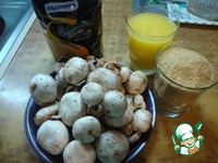 ������� "�������-��" �����������