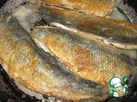 ������ ������� �����������