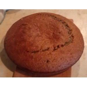 ���� "����������"