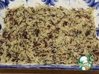 ������� ������ � ����������������� ��������� �����������