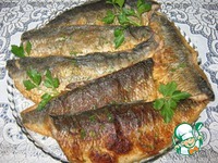 ������ ������� �����������