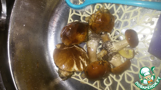 ����� �����