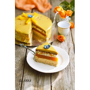 ���� "������ ������"