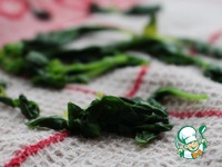 �������-����������� ���� �����������