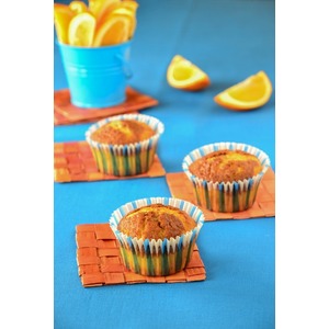 �����������-���������� �����