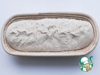 ���� �� ����� �� ������ �������� �����������